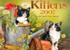 Art Kitten - Spot Difference