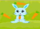  Bunny Crazy Time