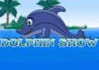 Dolphin Show