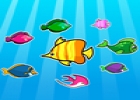 Colorful Fish Matching