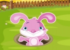  Slab The Bunny