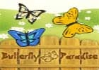 Butterfly Paradise
