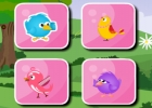 Joyful Birds Matching