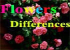 Flowers Differences
