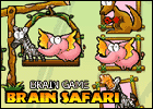 Brain safari