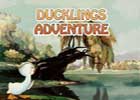 Duckling Adventures