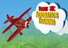 Flight 3D Aerobatics Training